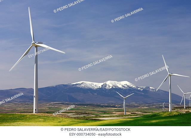 group of windmills in an idyllic green meadows, Moncayo mountain, Pozuelo de Aragon, Saragossa, Spain