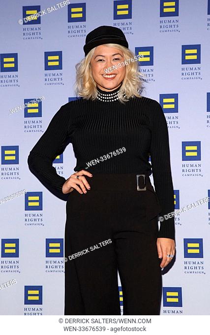 17th Annual HRC Greater New York Gala, held at the New York Marriott Marquis in New York City. Featuring: Milk Where: New York City, New York