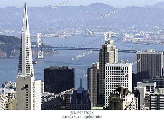 USA, California, San Francisco, Bay Bridge with Transamerica Pyramid in foreground