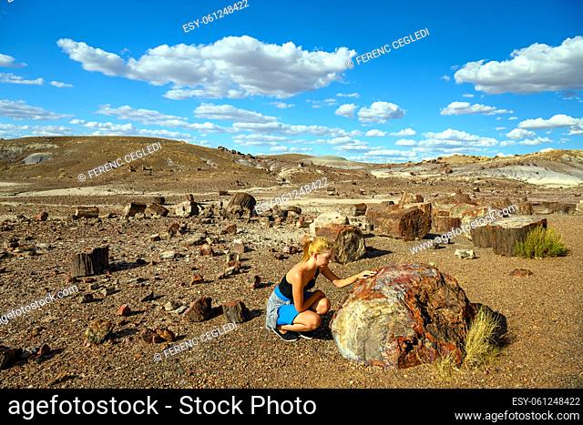 Female tourist admiring the view of Petrified Forest National Park (fossils and large deposits of petrified wood from the late Triassic age) Arizona, USA