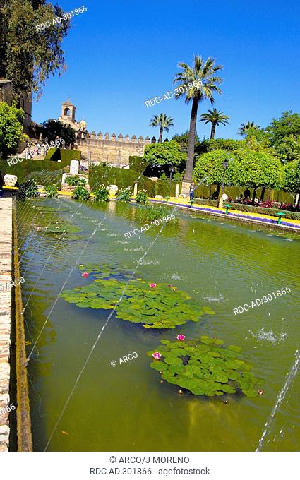 Pond, garden of Alcazar de los Reyes Cristianos, Cordoba, Andalusia, Spain / Alcazar of the Christian Monarchs, Alcazar of the Catholic Kings