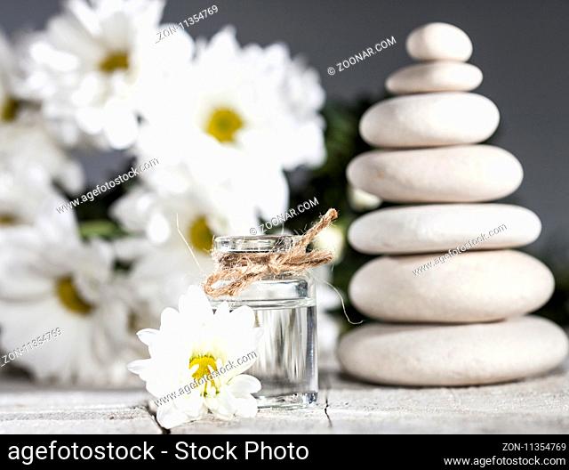 Chamomile essential oil, bouquet of chamomile flowers and stack of white rocks on gray background