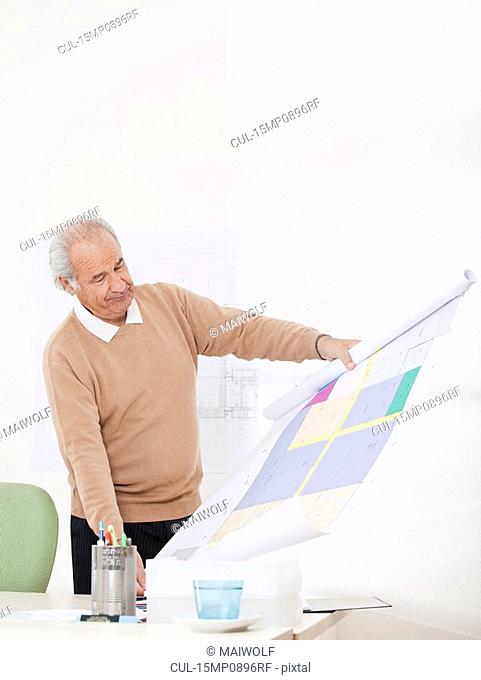 Man checking plan in an office