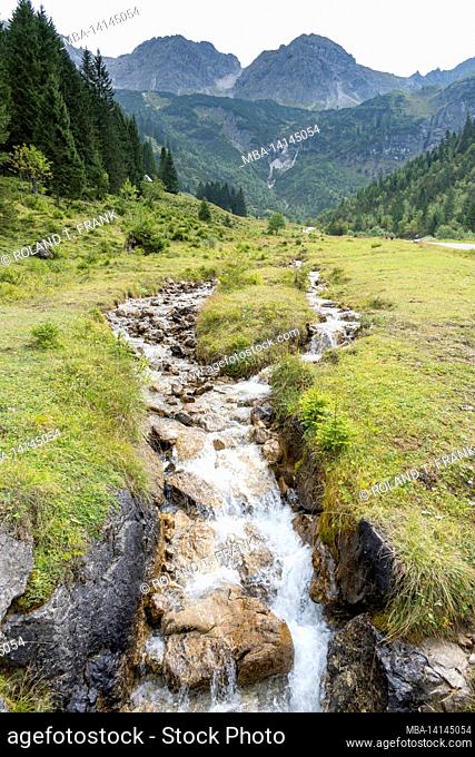 austria, kleinwalsertal, mountain stream wilde tobel in the wildental