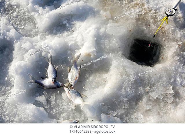 Ice-fishing. South of Russia