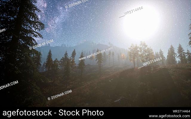 Milky Way stars with moonlight above pine trees forest