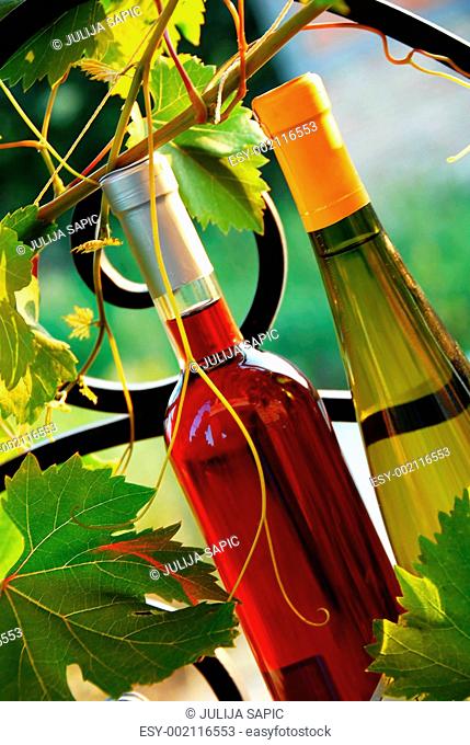 Wine bottles between vine leaves