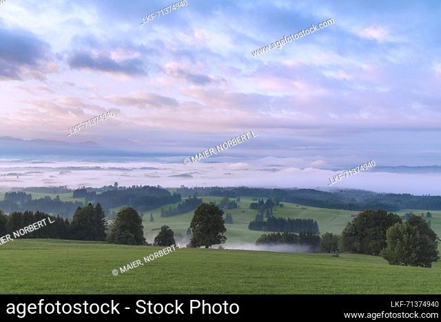 View from Auerberg to the south on a foggy early autumn morning, Bavaria, Germany, Europe