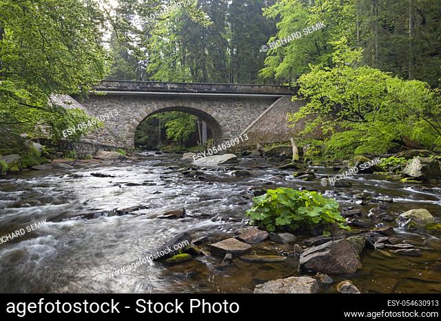 Divoka Orlice river in Zemska brana nature reserve, Orlicke mountains, Eastern Bohemia, Czech Republic