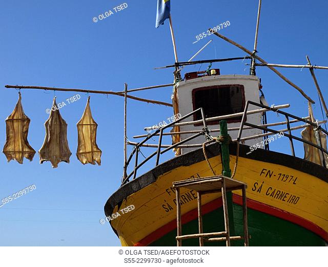 Dry cod fish and a colourful boat, Camera Do Lobos, Madeira island, Portugal