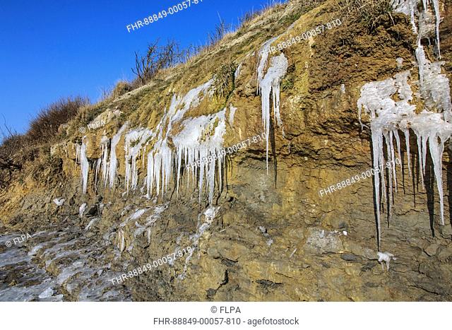 Icicles hanging from frozen cliff waterfalls Osmington Mills, Dorset, England, February