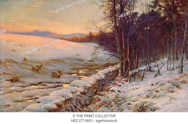 'The Edge of the Wood', 1911. Creator: Joseph Farquharson