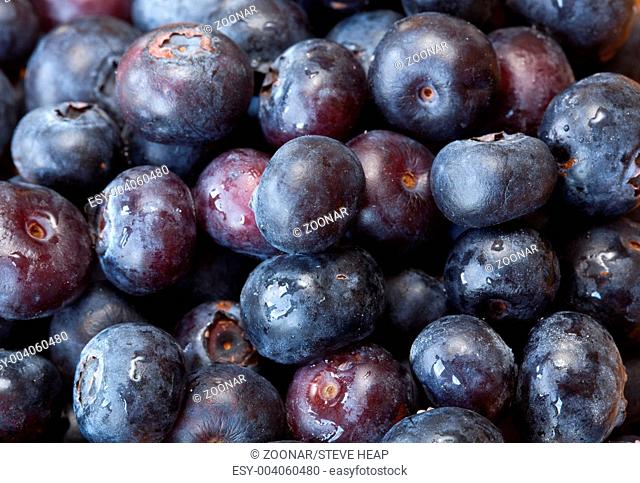 Macro shot of Blueberries