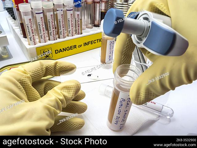 Experienced laboratory scientist analyzing a fecal sample, botulism infection in sick people, conceptual image