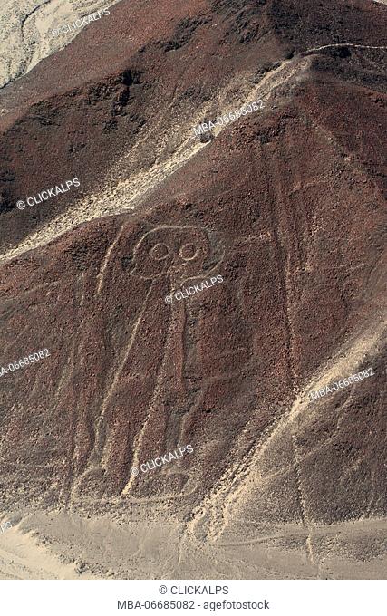 The Nazca Lines are giant sketches drawn in the desert of western Peru by ancient peoples. The drawings were created on such a large scale is such that the...