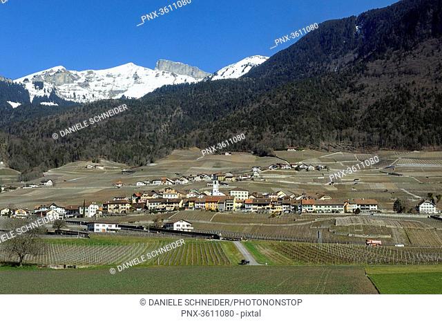 Switzerland, the Chablais, landscape of the vine estate
