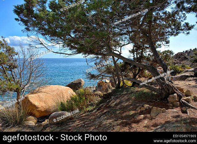 Felsig und steinig ist das Erscheinungsbild der nördlichen Kueste der Insel Sardinien im Mittelmeer