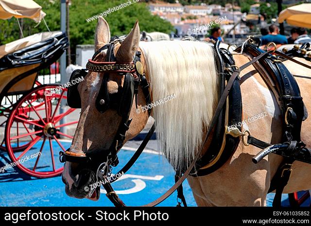 MIJAS, ANDALUCIA/SPAIN - JULY 3 : Horse and Carriage in Mijas Andalucía Spain on July 3, 2017. Unidentified people
