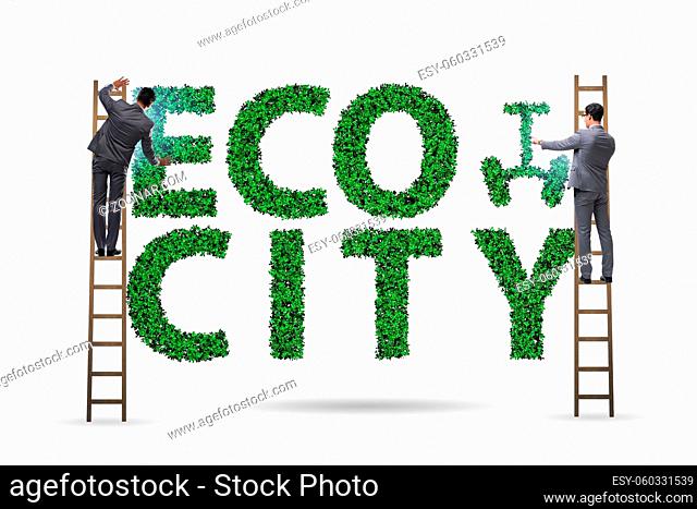 Eco city in the ecology concept wih businessman