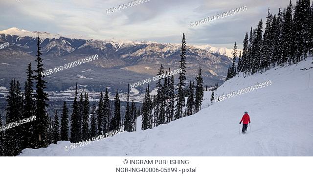 Tourist skiing in valley, Kicking Horse Mountain Resort, Golden, British Columbia, Canada