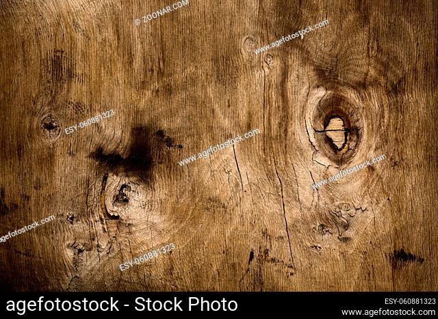 Wooden texture closeup. Wooden line texture. Wood texture for your background and different ideas. Copyspace