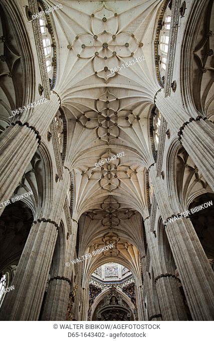 Spain, Castilla y Leon Region, Salamanca Province, Salamanca, Salamanca Cathedrals, ceiling