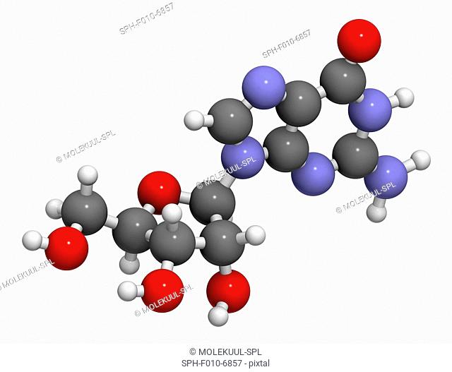 Guanosine purine nucleoside molecule. Important component of GTP, GDP, cGMP, GMP and RNA (ribonucleic acid). Atoms are represented as spheres with conventional...
