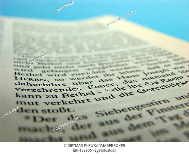 Book, Holy Bible