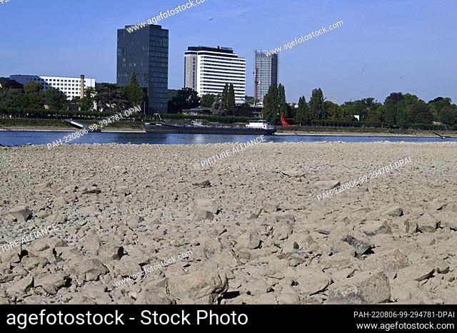 06 August 2022, North Rhine-Westphalia, Bonn: A ship is sailing on the Rhine. The river is at low water due to the low rainfall - it has hardly rained for weeks...