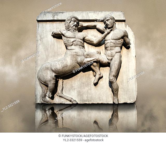 Sculpture of Lapiths and Centaurs battling from the south east corner Metope of the Parthenon on the Acropolis of Athens no XXXII