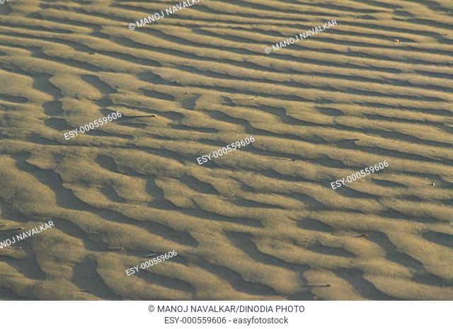 Sand dunes , Khudi , Rajasthan , India