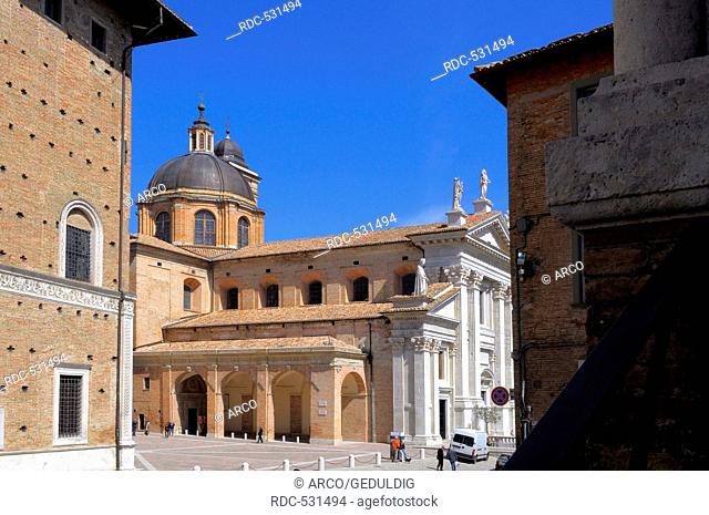 Duomo and Palazzo Ducale, downtown, Old Town, Church, Marche, Urbino, Italy
