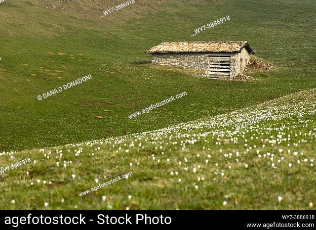 farmhouse and meadow, sparavera mountain, italy