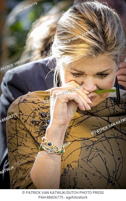 Queen Maxima of The Netherlands visits horticultural company Koppert Cress in Monster, The Netherlands, 7 March 2017. The company is specialized in a variety of...