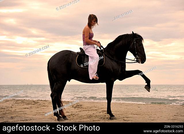 beautiful black stallion on the beach with young woman
