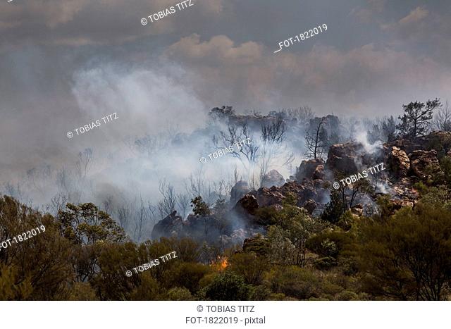Wildfire burning, East McDonnell Ranges, Alice Springs, Northern Territory, Australia