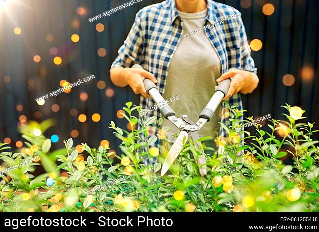 woman with pruner cutting branches at garden