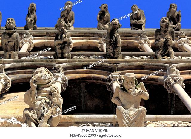 Gargoyles on facade of cathedral Notre Dame, Dijon, Cte-d'Or departement, Burgundy, France