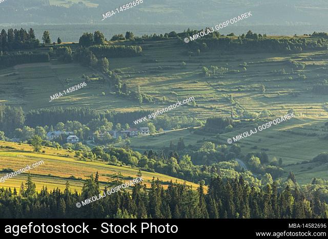 Europe, Poland, Lesser Poland, Tatra Mountains, Podhale, view from Czarna Gora