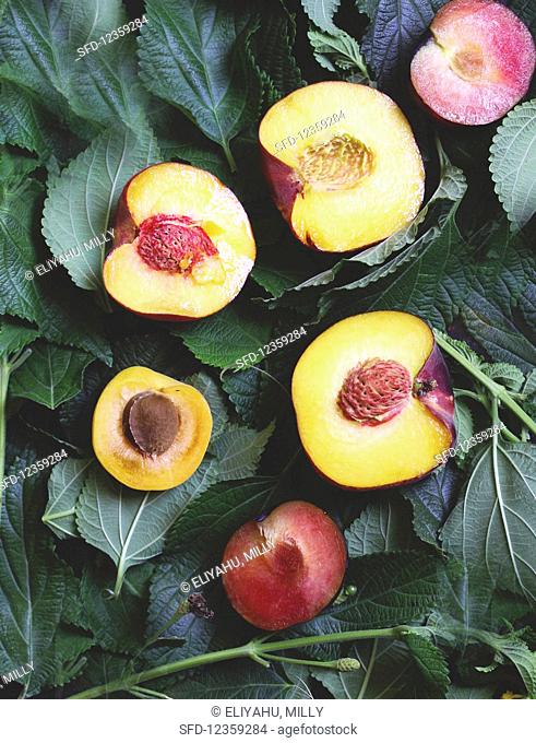 Halved peaches, apricots and plums on leaves (top view)