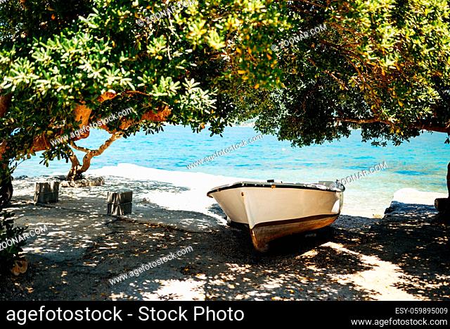 Fishing boat on the shore in the shade under the branches of trees on a sunny day. High quality photo