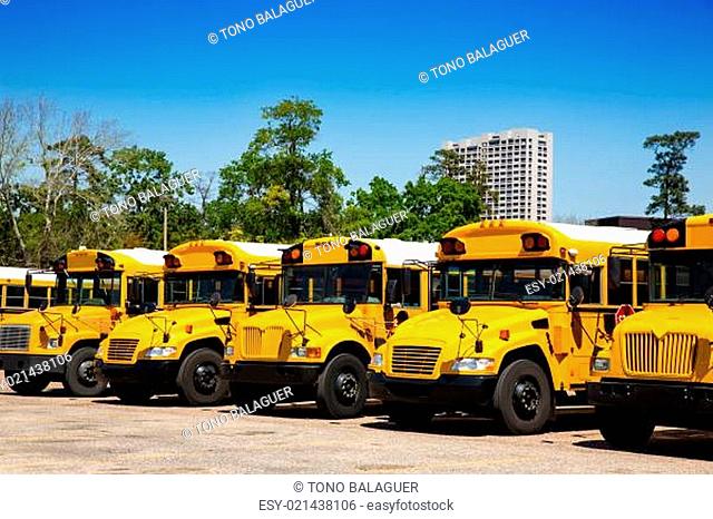American typical school buses row in a parking lot