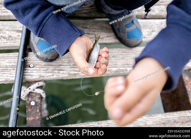 Child hands with freshly caught fish in the lake, Lake Maggiore, Italy