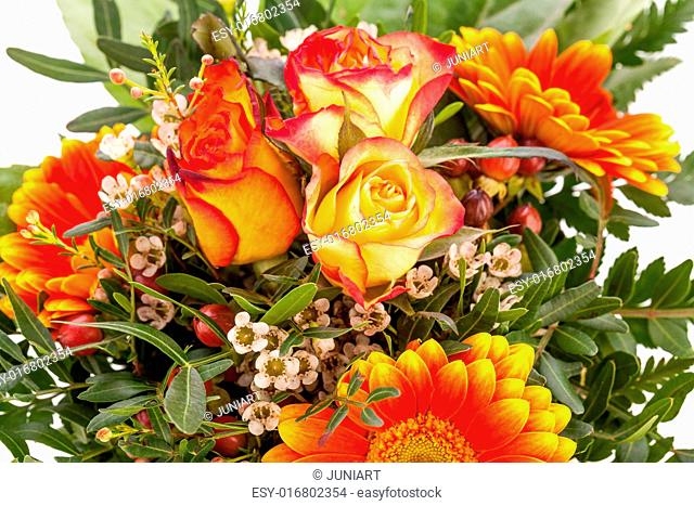 Beautiful vivid orange gerbera daisy in a bouquet with orange roses and foliage for celebrating a special occasion, close up view isolated on white with...