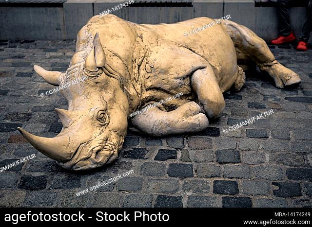 Rhinoceros sculpture Nuremberg