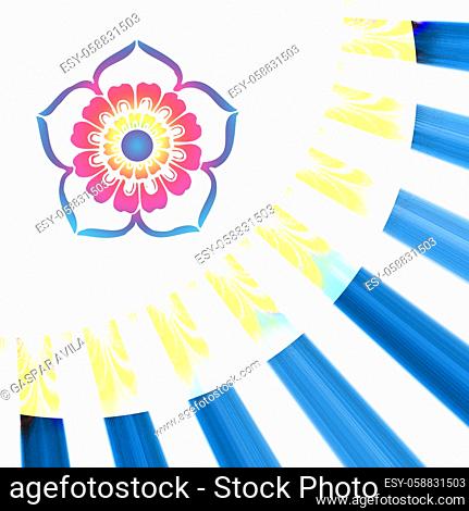 High key, high contrast geometric graphic design with flower on a white background