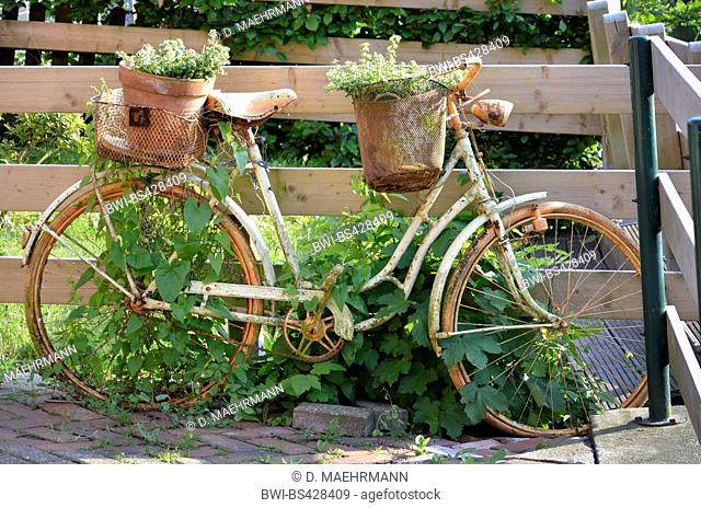 Shabby Chic, planted bike in Vintage-Look, Germany, Lower Saxony, Greetsiel