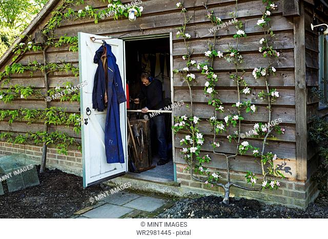 A garden shed workshop with plants trained up the outside, flowering. View through the open door of a man at work