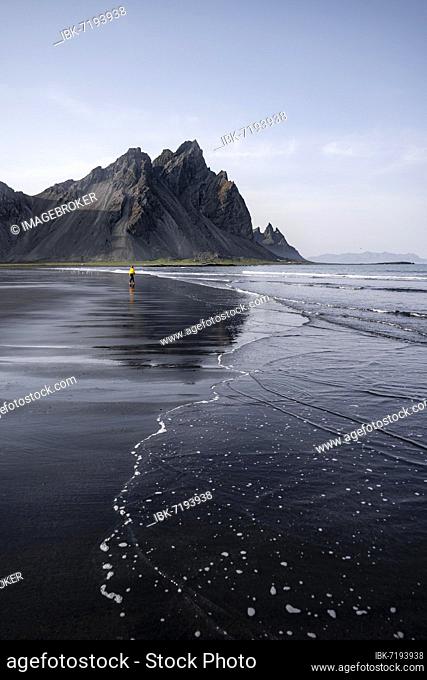 Young woman with rain jacket walking on beach, black lava beach, sandy beach, Stokksnes headland, Austurland, Eastern Iceland, Iceland, Europe