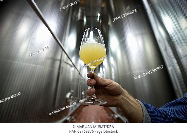 Vineyard technician Stefan Sigloch holds up a sample of a 2015 Riesling in front of stainless steel tanks, in the cellar of the Lauffener Weingaertner eG wine...